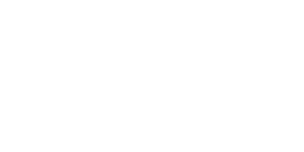 Logo-Amirsazeh